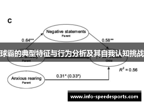 球霸的典型特征与行为分析及其自我认知挑战
