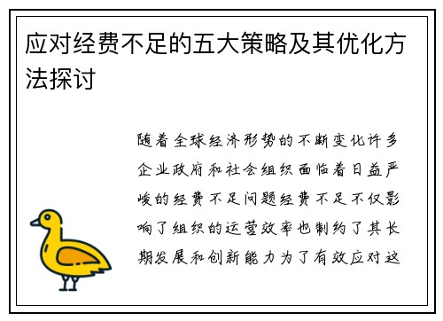 应对经费不足的五大策略及其优化方法探讨