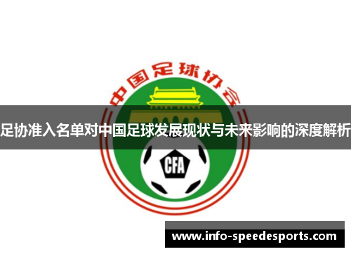 足协准入名单对中国足球发展现状与未来影响的深度解析
