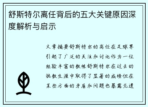 舒斯特尔离任背后的五大关键原因深度解析与启示